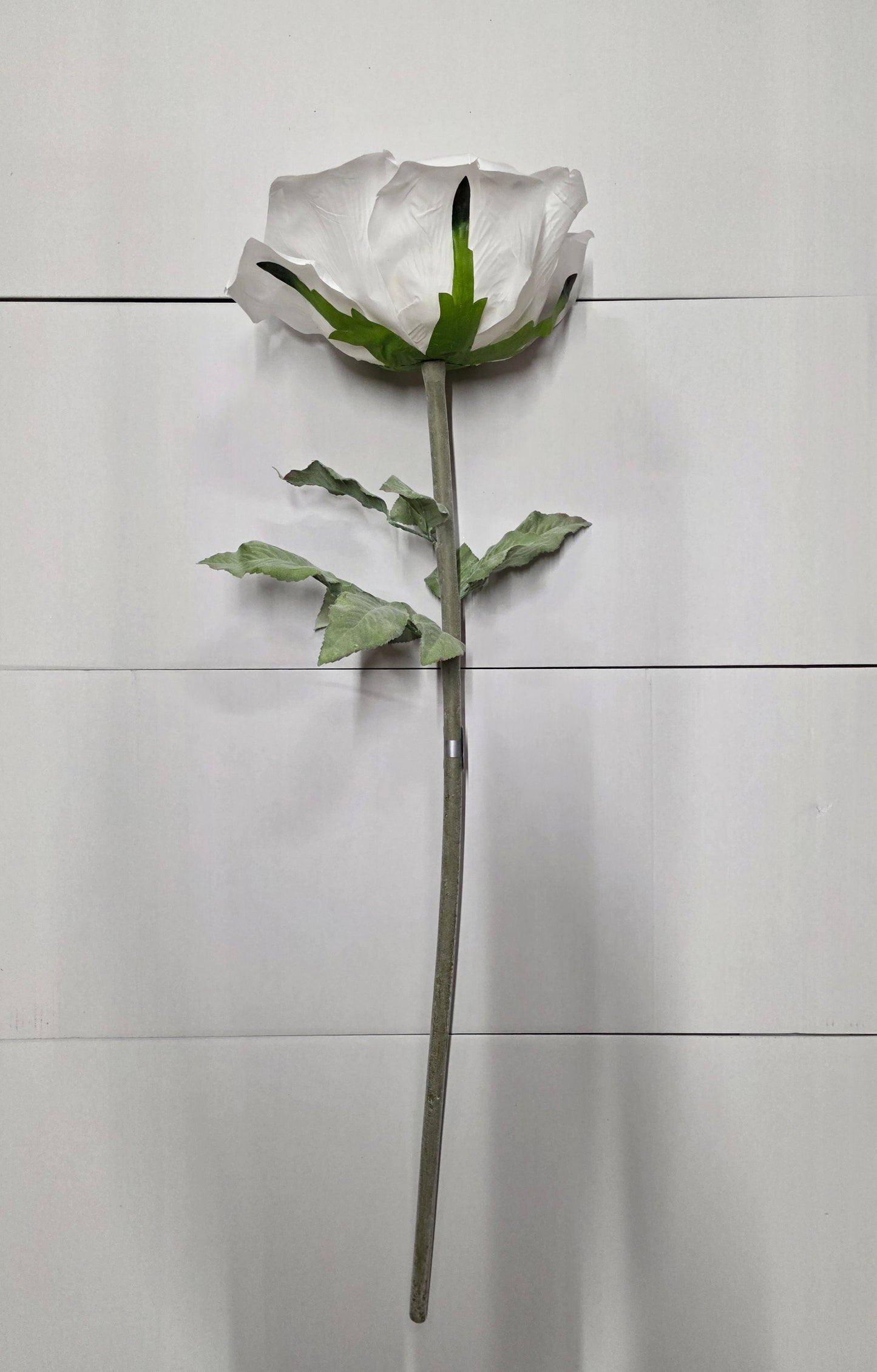 Giant Rose Frosted White 116cm