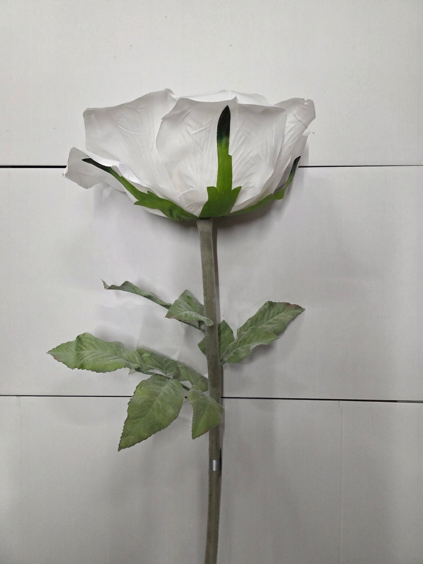 Giant Rose Frosted White 116cm