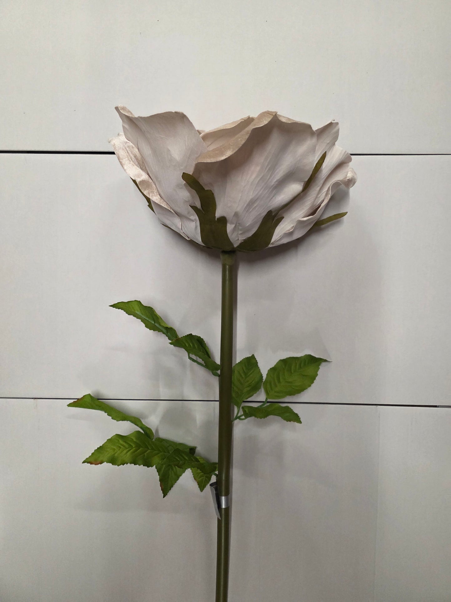 Giant Rose Velvet Champagne 116cm