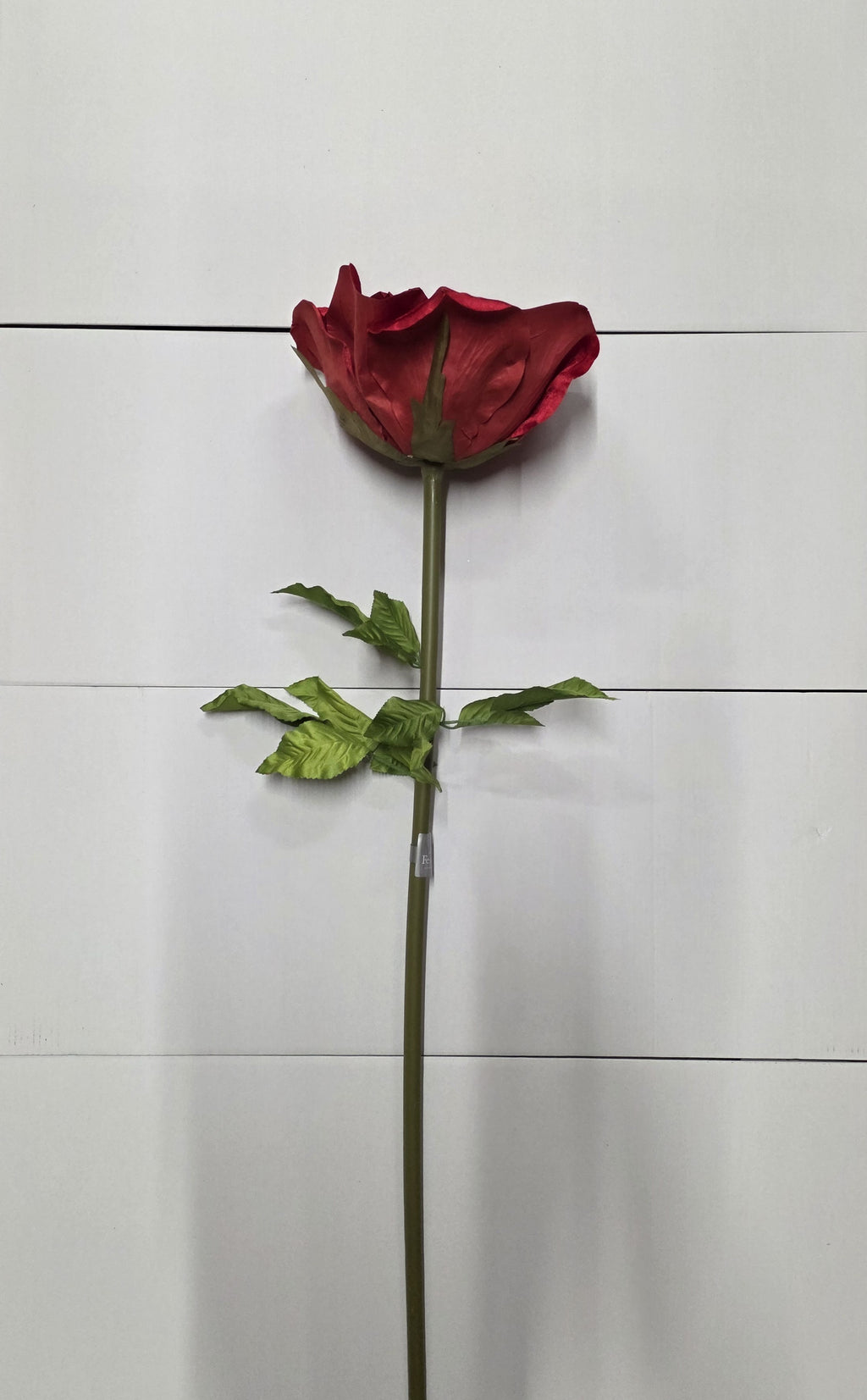 Giant Rose Velvet Red 116cm
