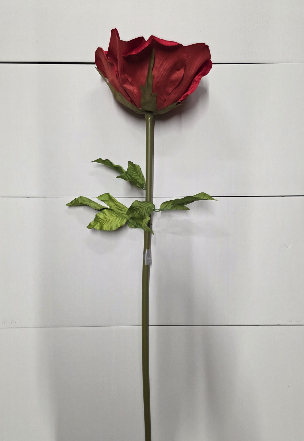 Giant Rose Velvet Red 116cm