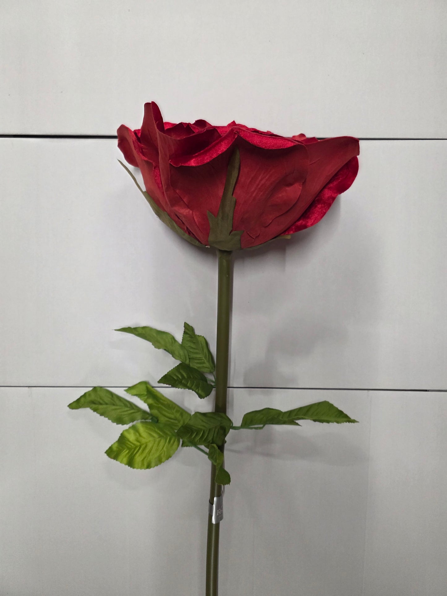 Giant Rose Velvet Red 116cm