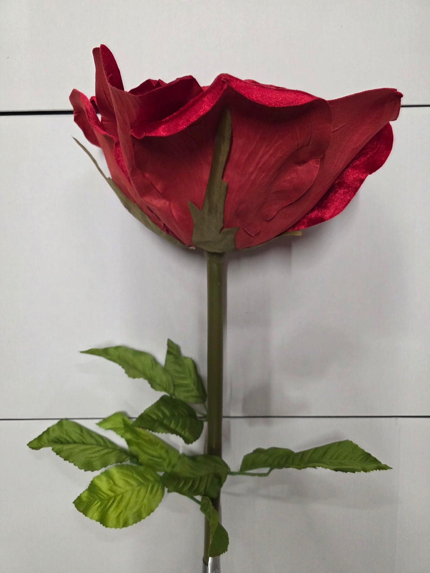 Giant Rose Velvet Red 116cm