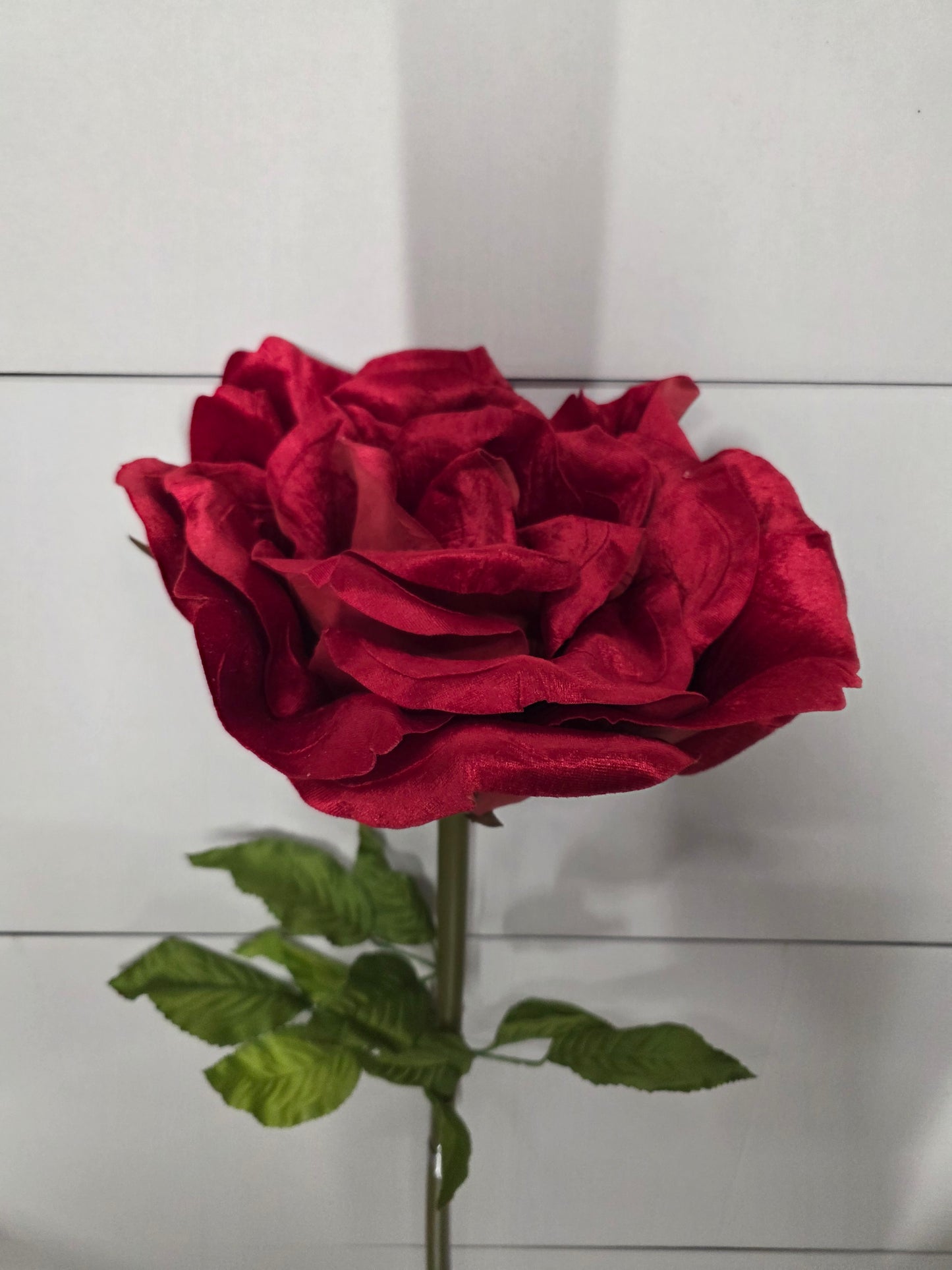 Giant Rose Velvet Red 116cm