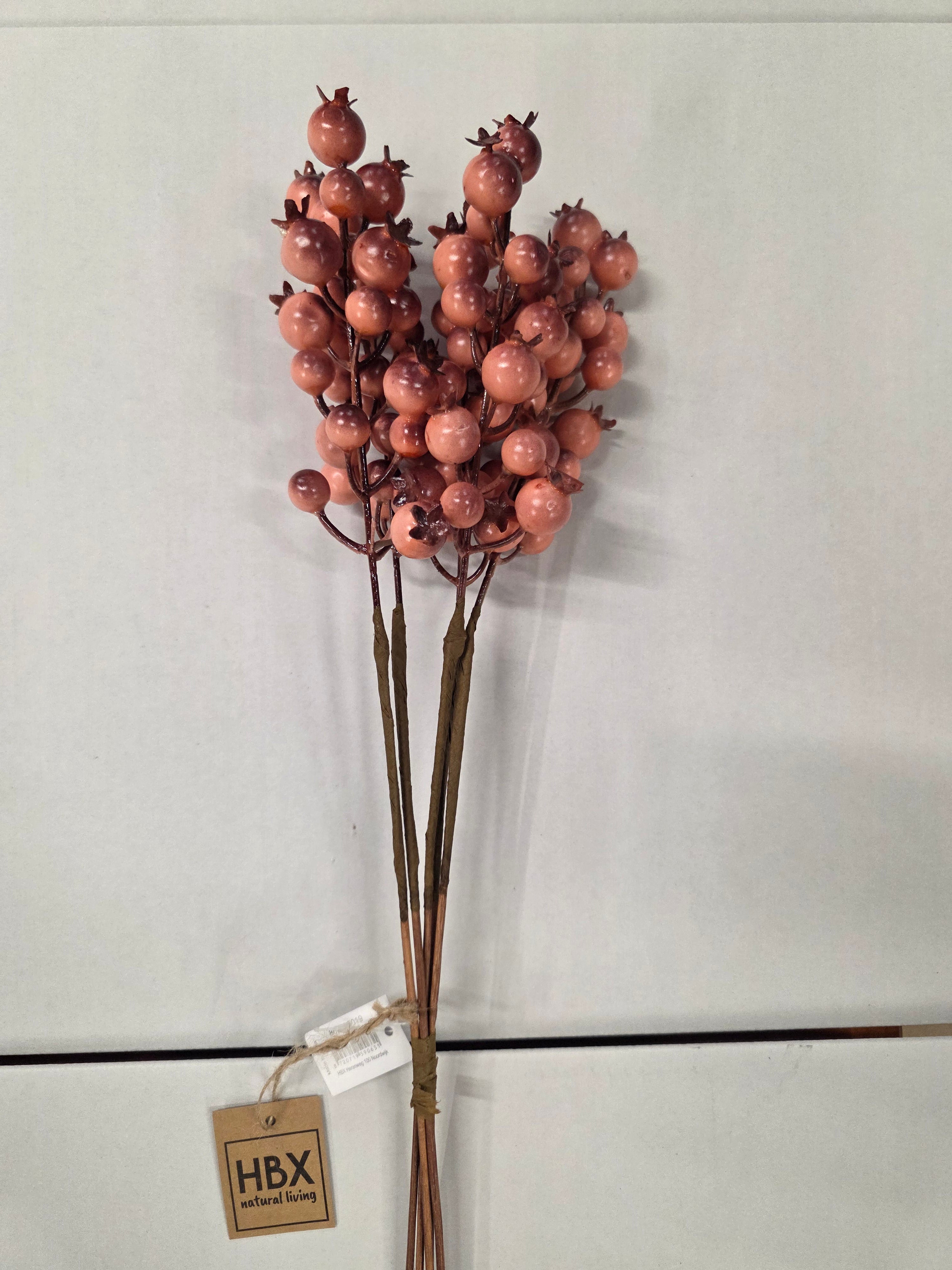 Rosehip X5 Bundle Orange 55cm