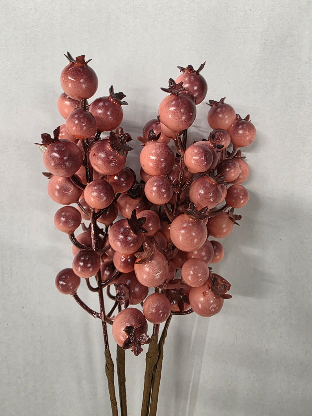 Rosehip X5 Bundle Orange 55cm