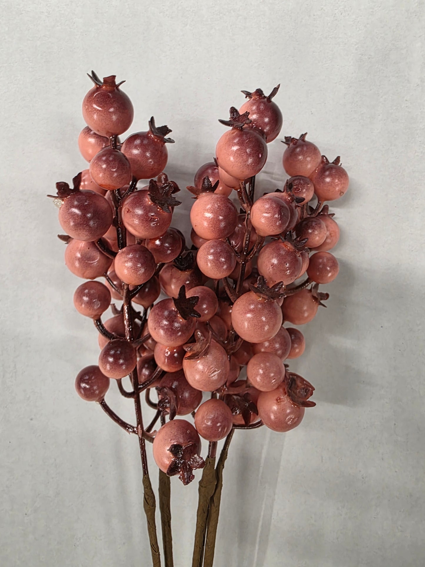 Rosehip X5 Bundle Orange 55cm