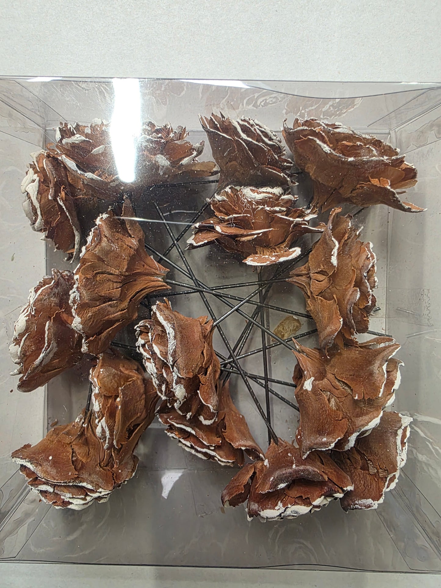 Cedar Rose On Wire In Box Assort 15cm (one box)