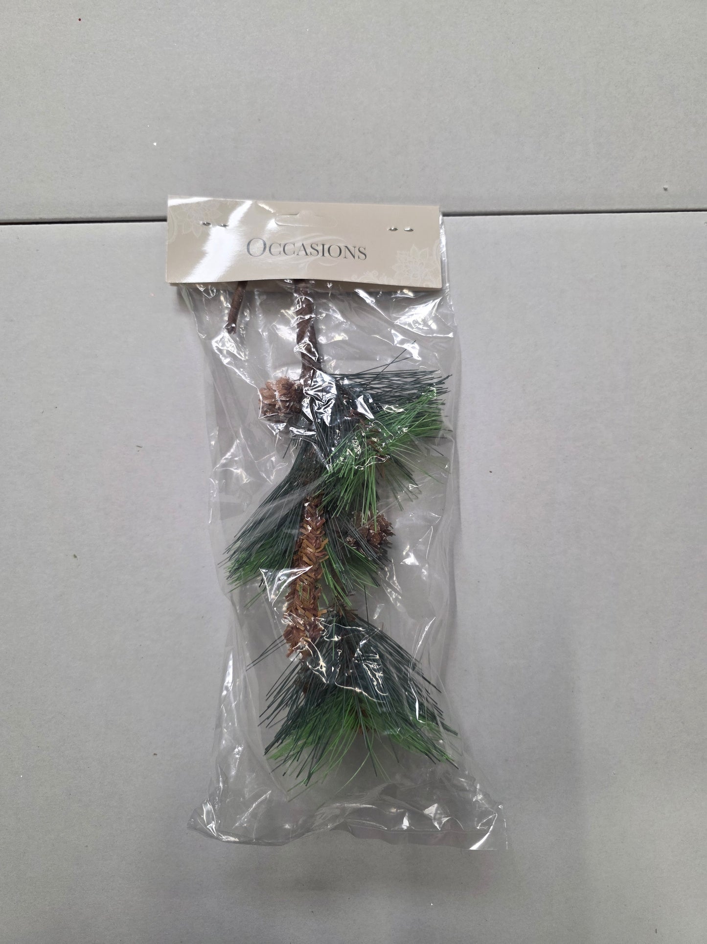 Scotch Pine 25cm  (PACK OF 3)