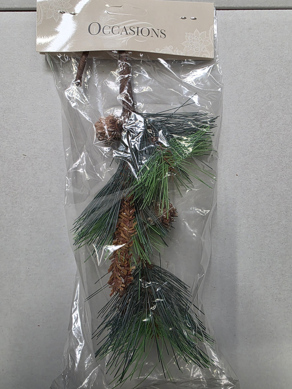 Scotch Pine 25cm  (PACK OF 3)