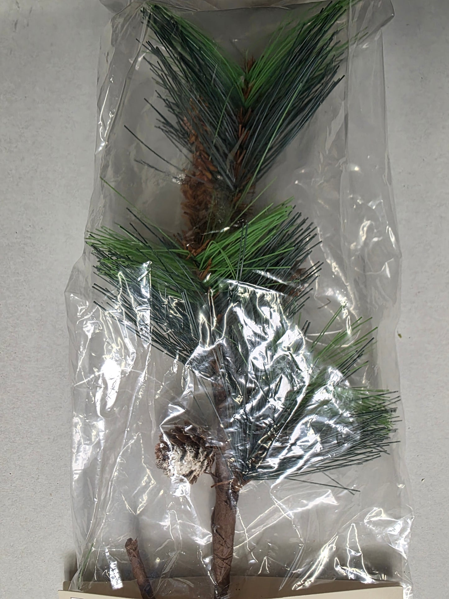 Scotch Pine 25cm  (PACK OF 3)