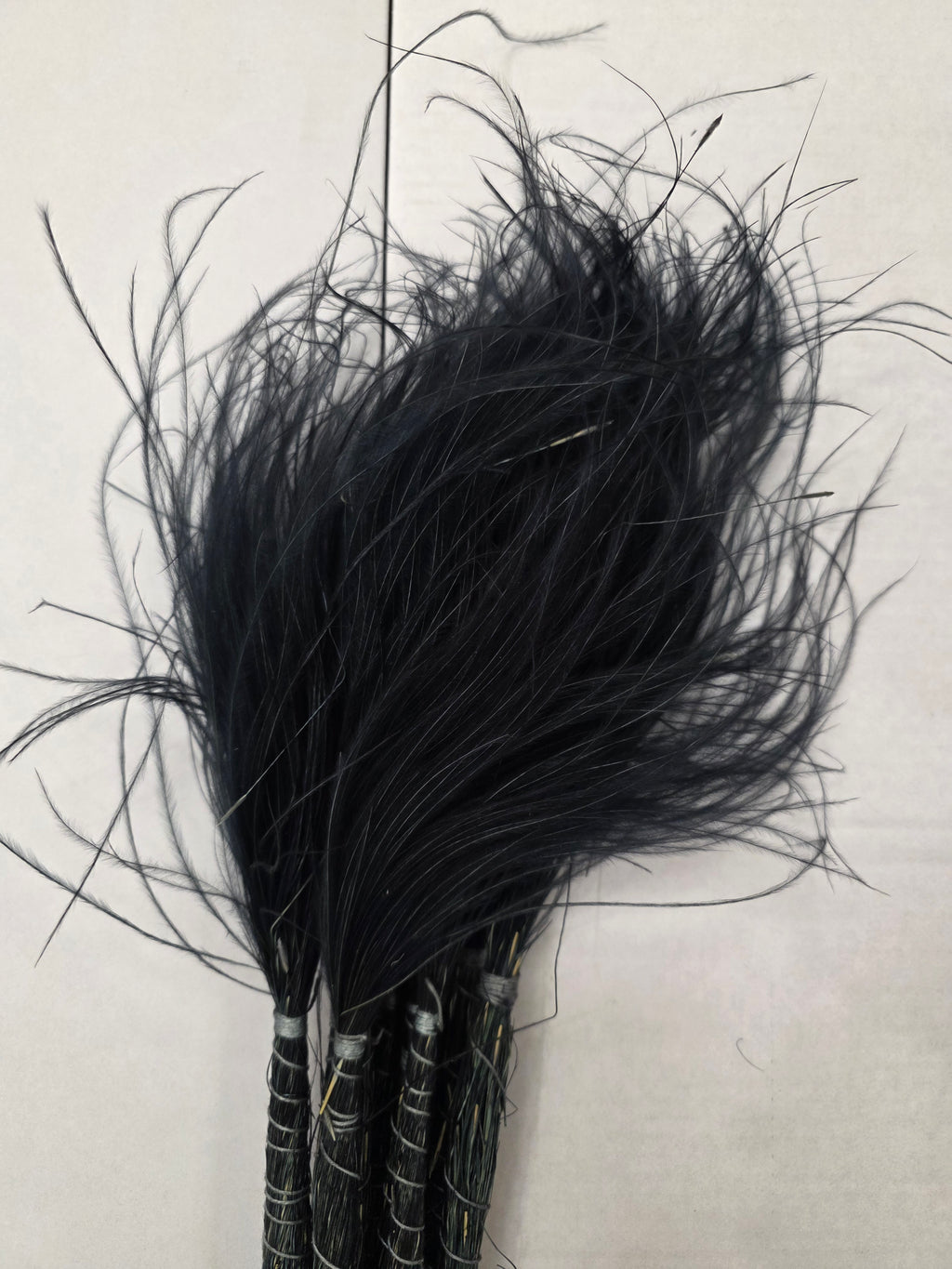 Stypha Black