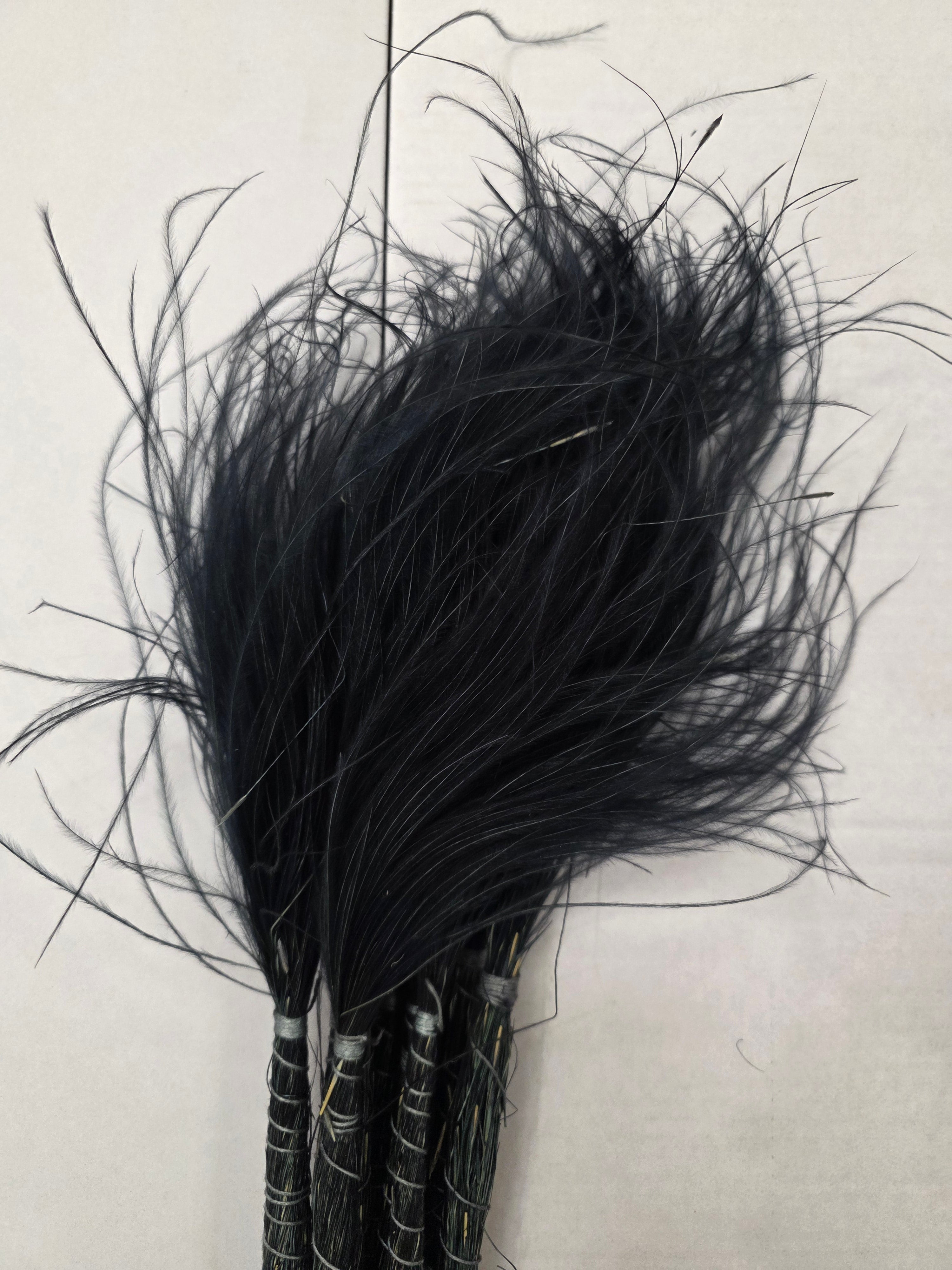 Stypha Black