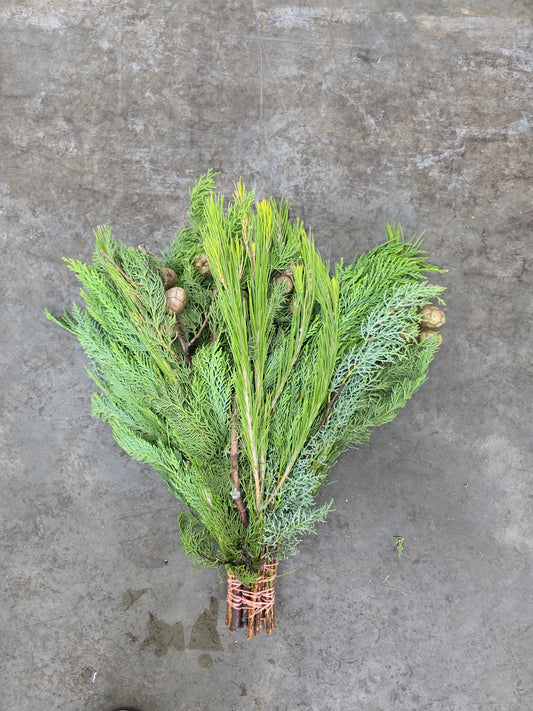 Bq Xmas (coniferen Mix) 7 Stems