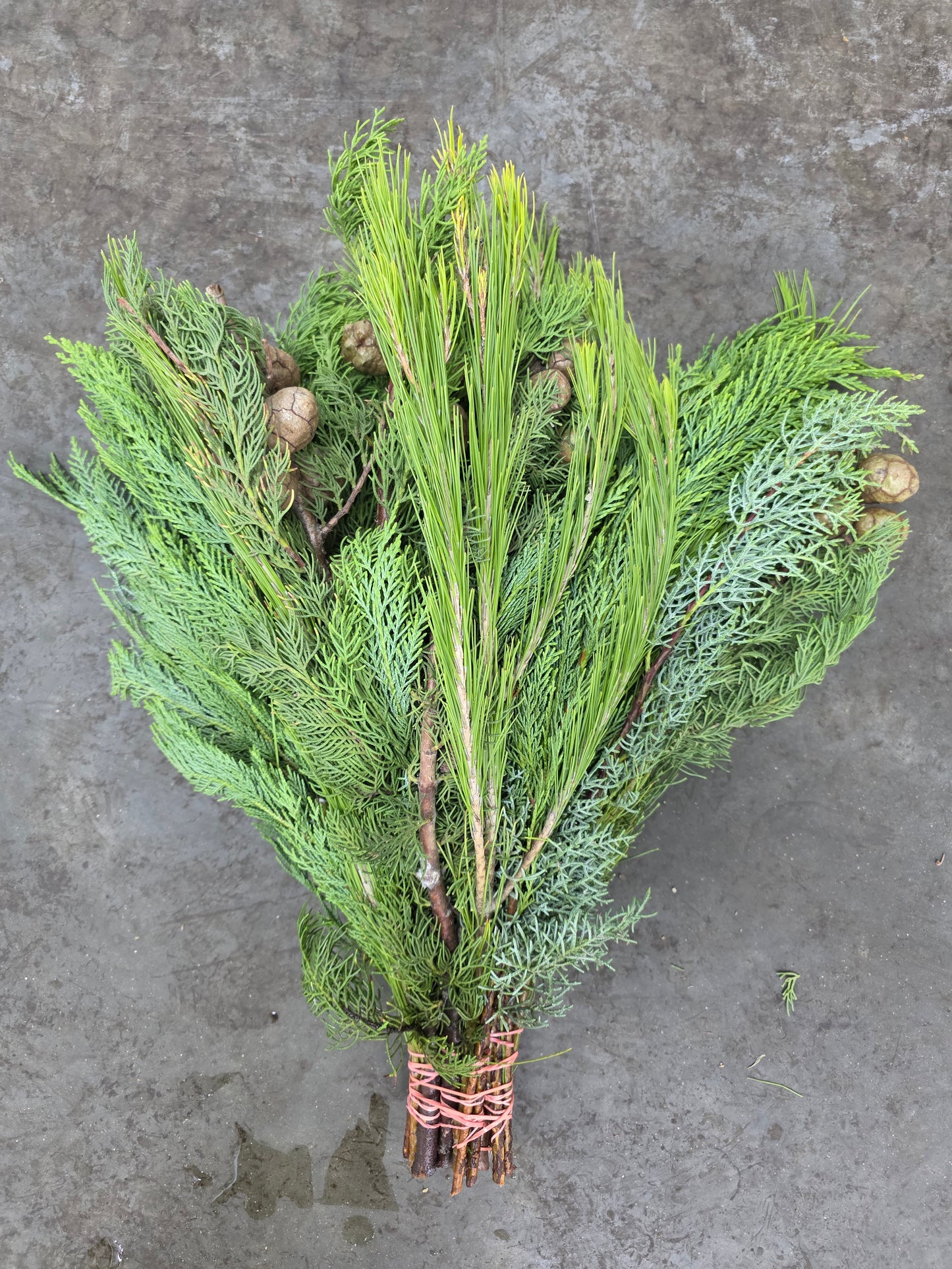 Bq Xmas (coniferen Mix) 7 Stems