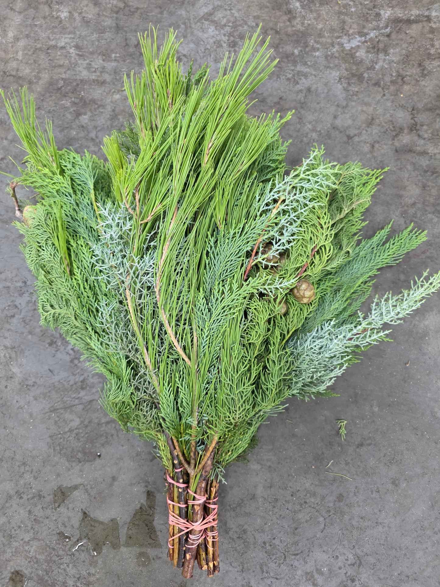 Bq Xmas (coniferen Mix) 7 Stems