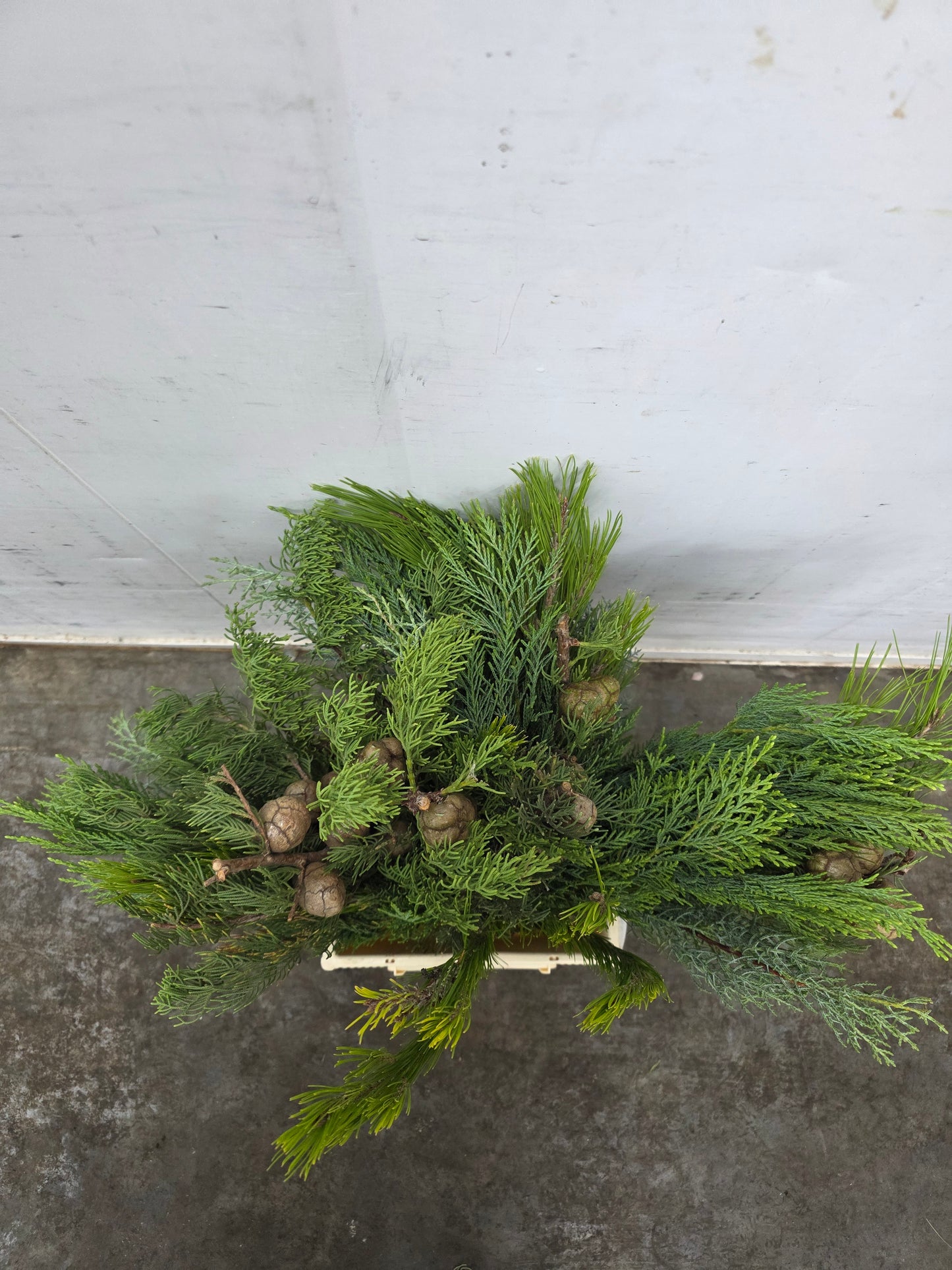 Bq Xmas (coniferen Mix) 7 Stems