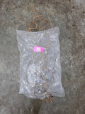 Corylus 100cm