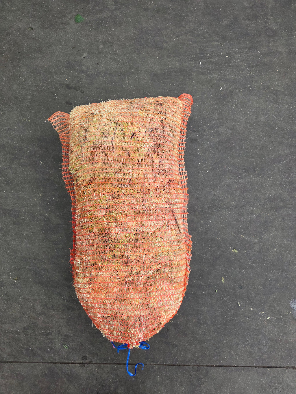 Moss Spagnum Bag