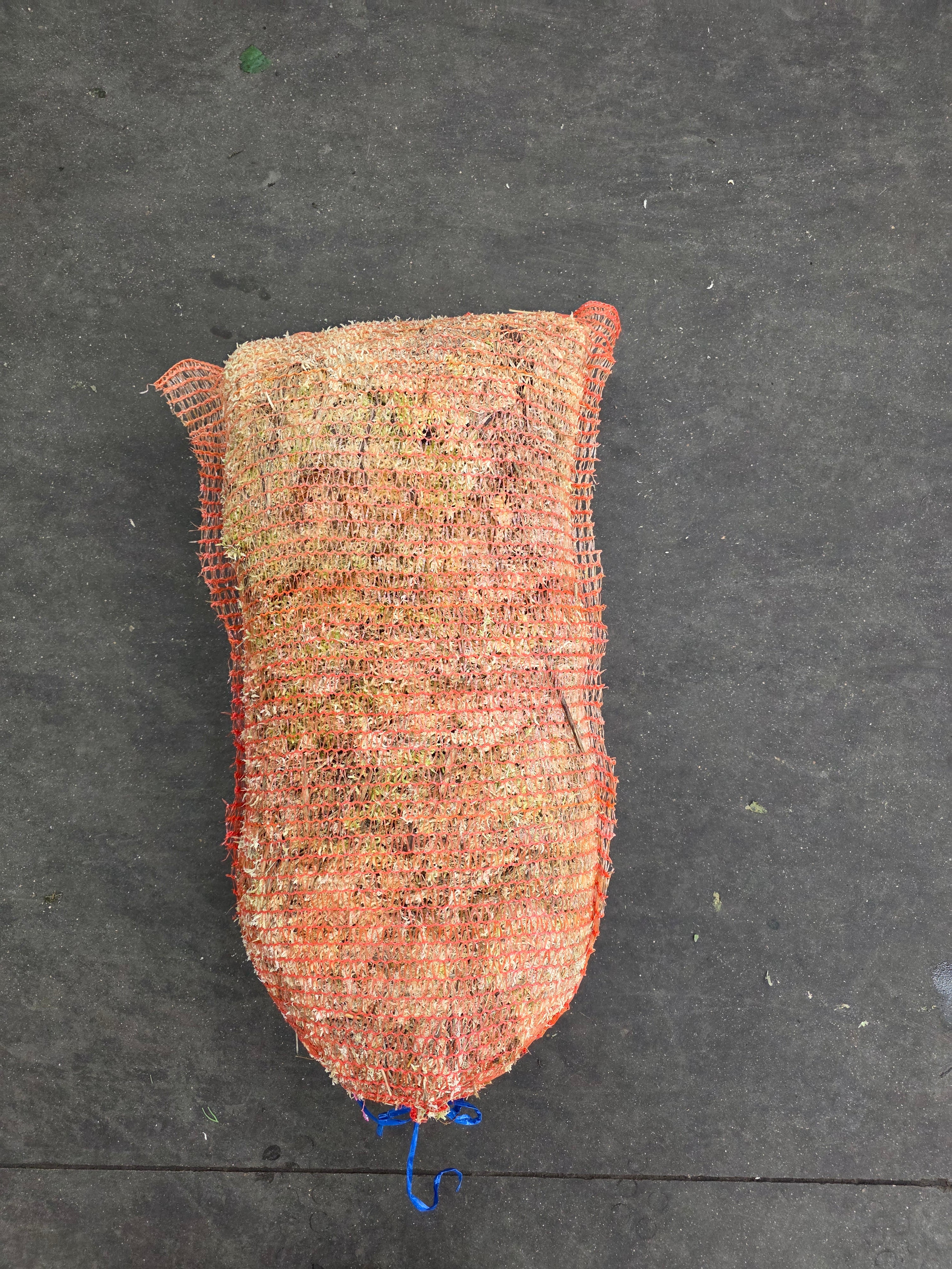 Moss Spagnum Bag