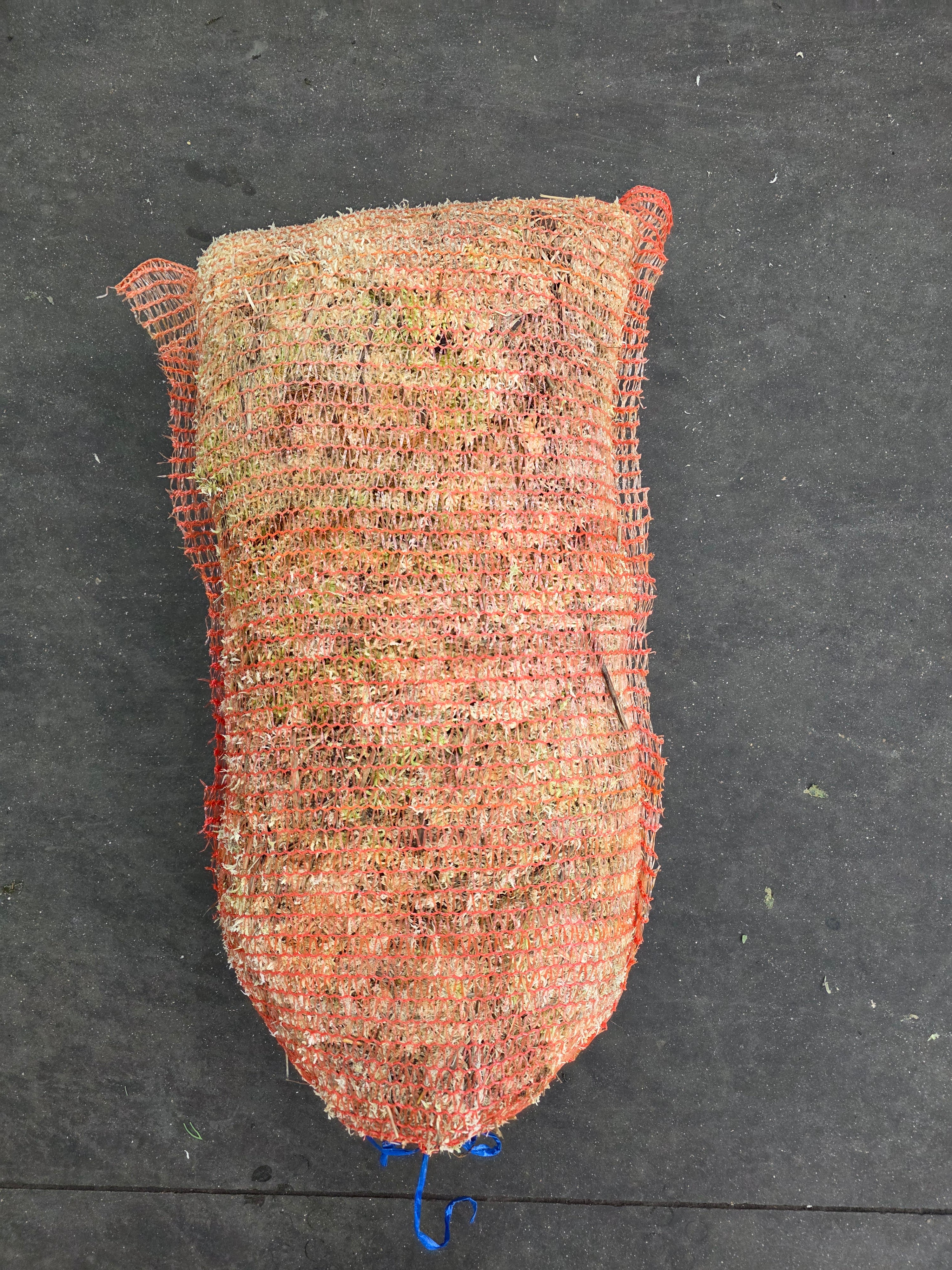 Moss Spagnum Bag
