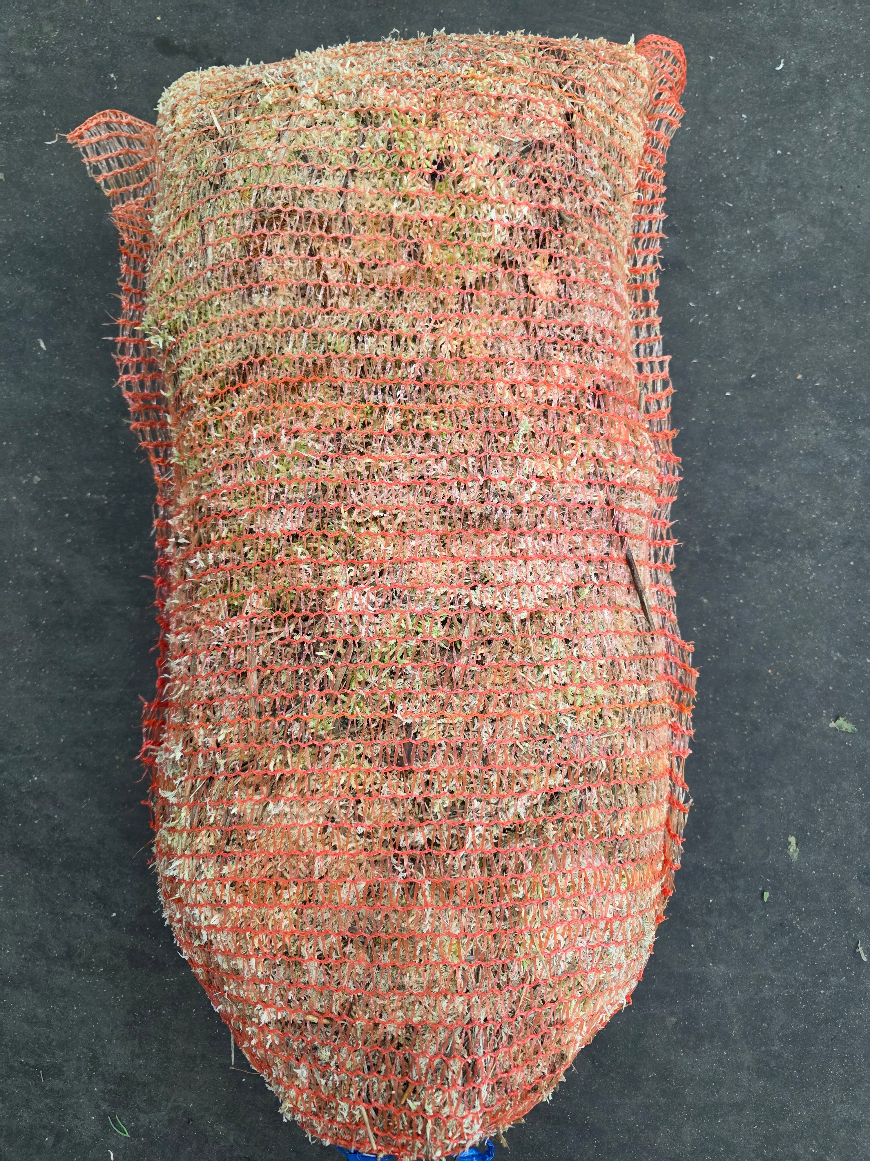 Moss Spagnum Bag