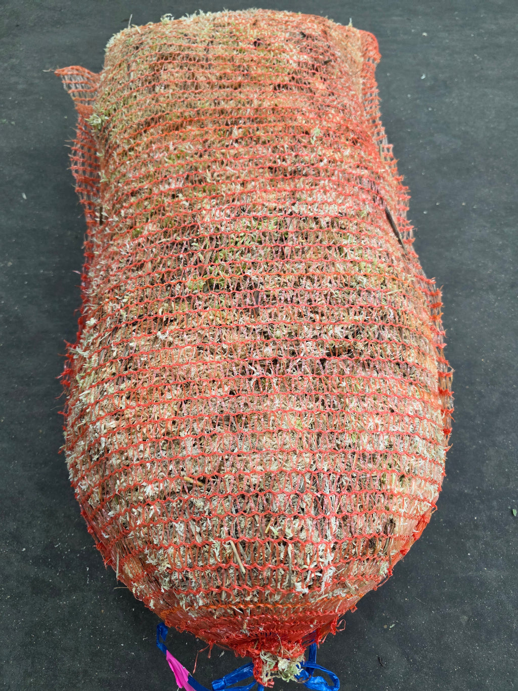 Moss Spagnum Bag