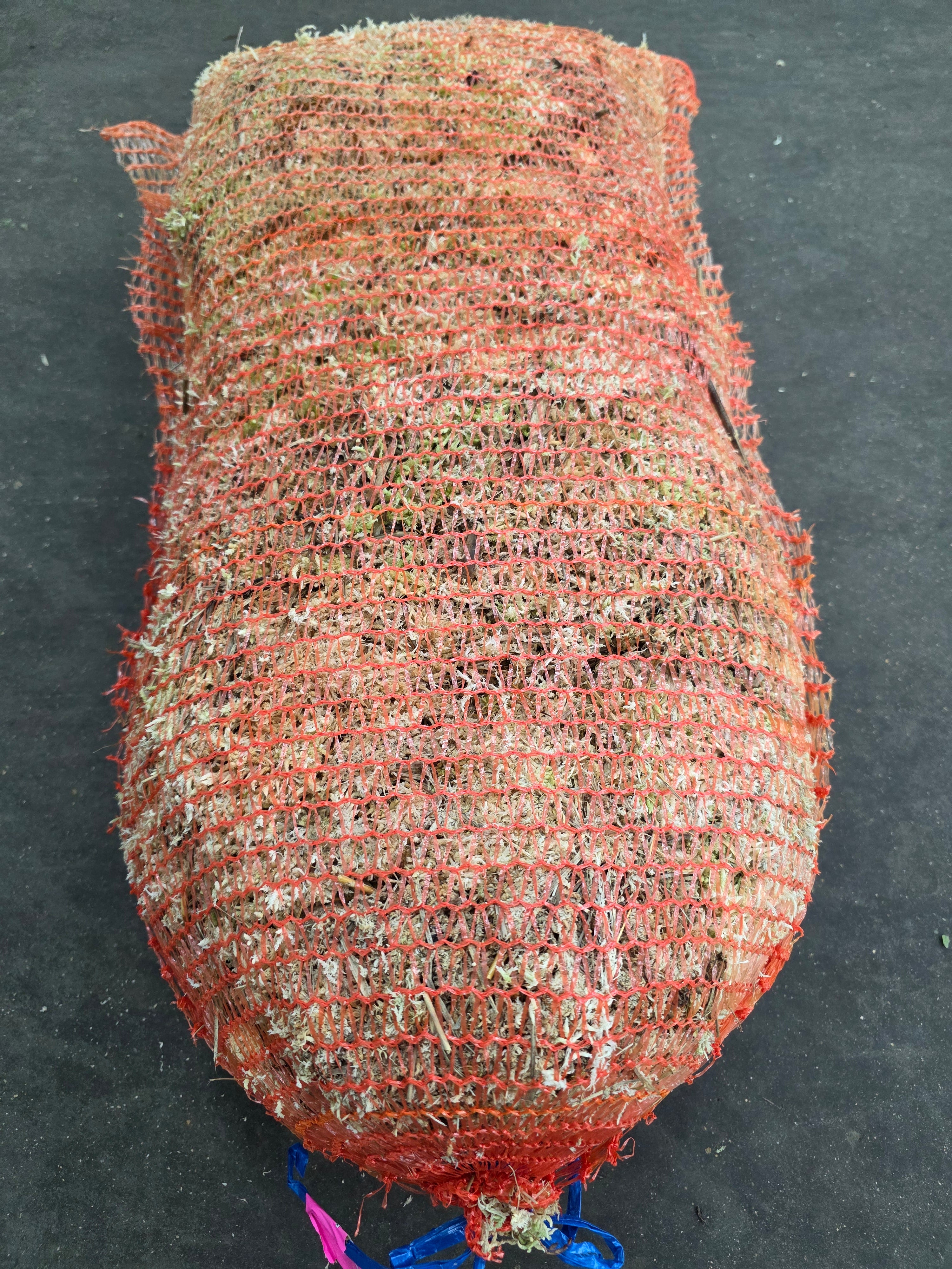 Moss Spagnum Bag