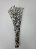 Salix Snow Flake 70cm