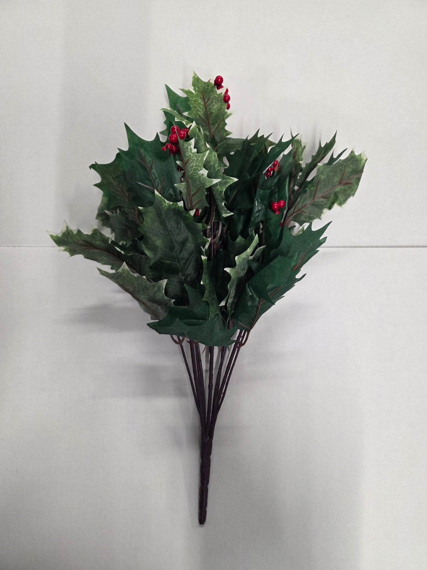 Holly Bush With Berries Variegated 48cm