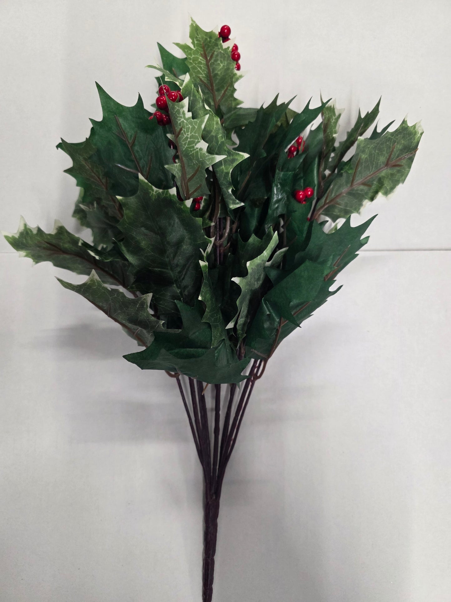 Holly Bush With Berries Variegated 48cm
