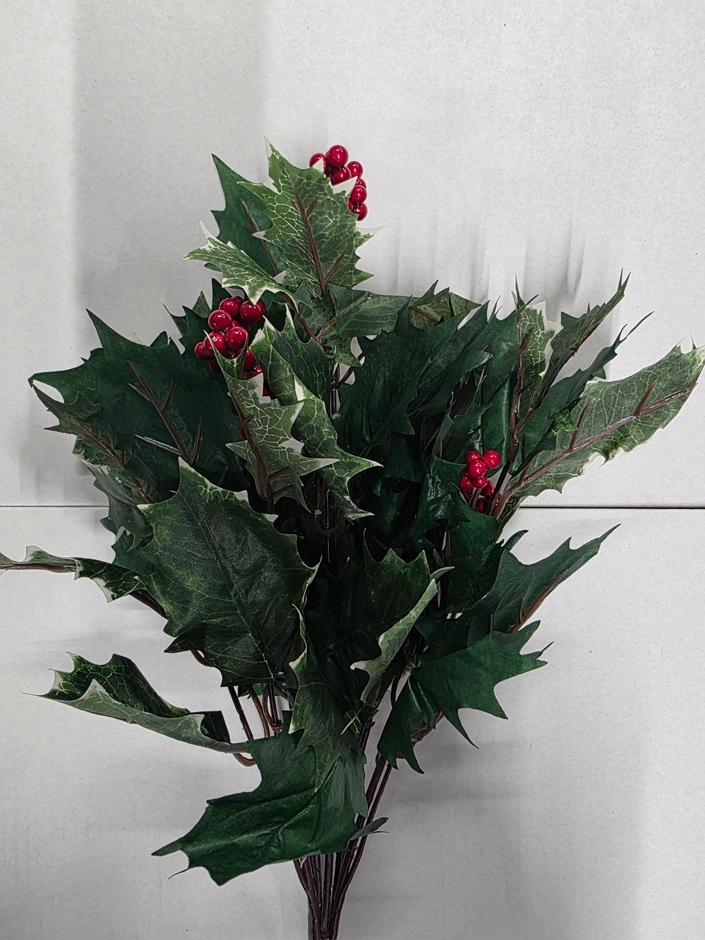 Holly Bush With Berries Variegated 48cm