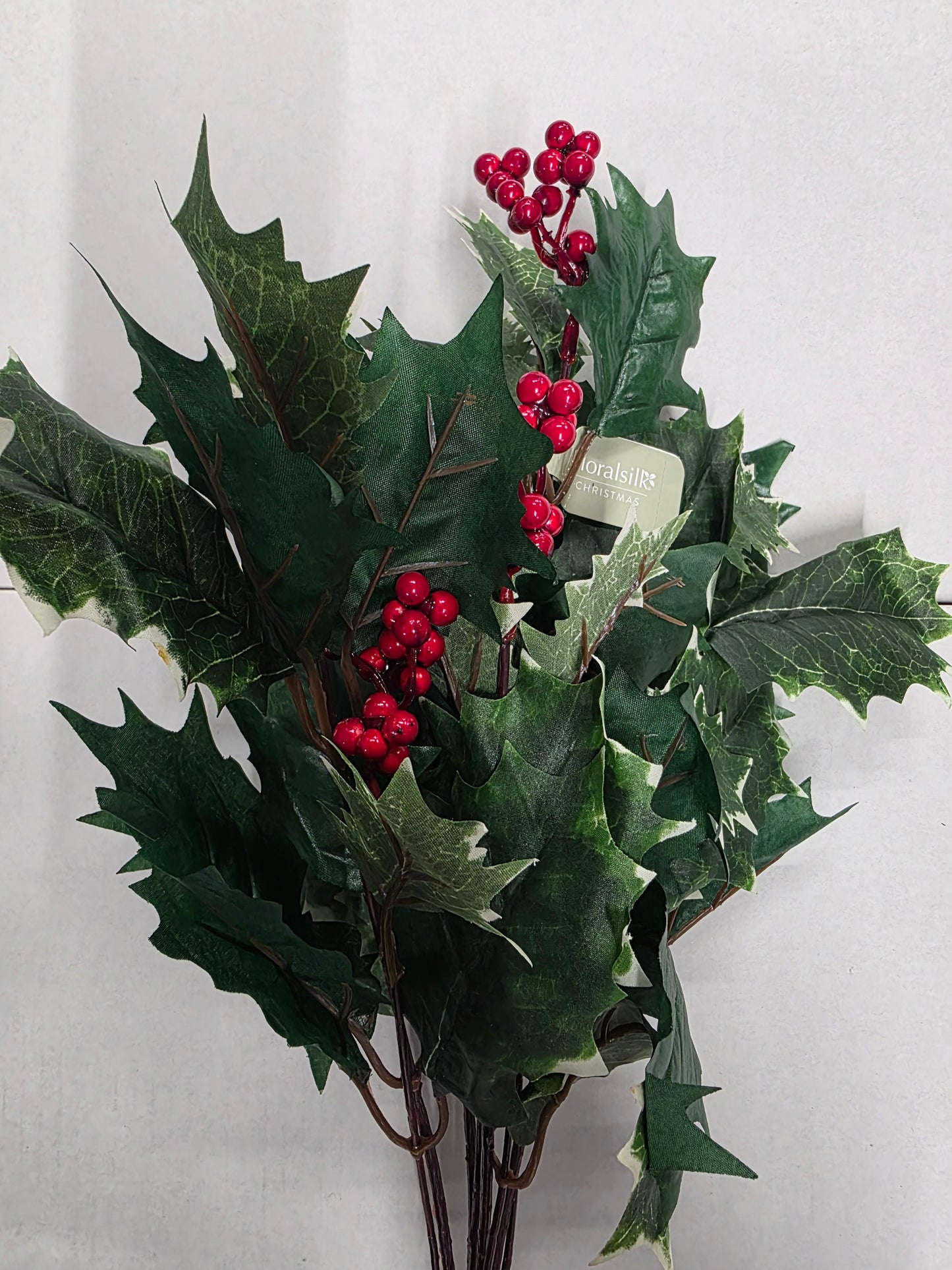 Holly Bush With Berries Variegated 48cm