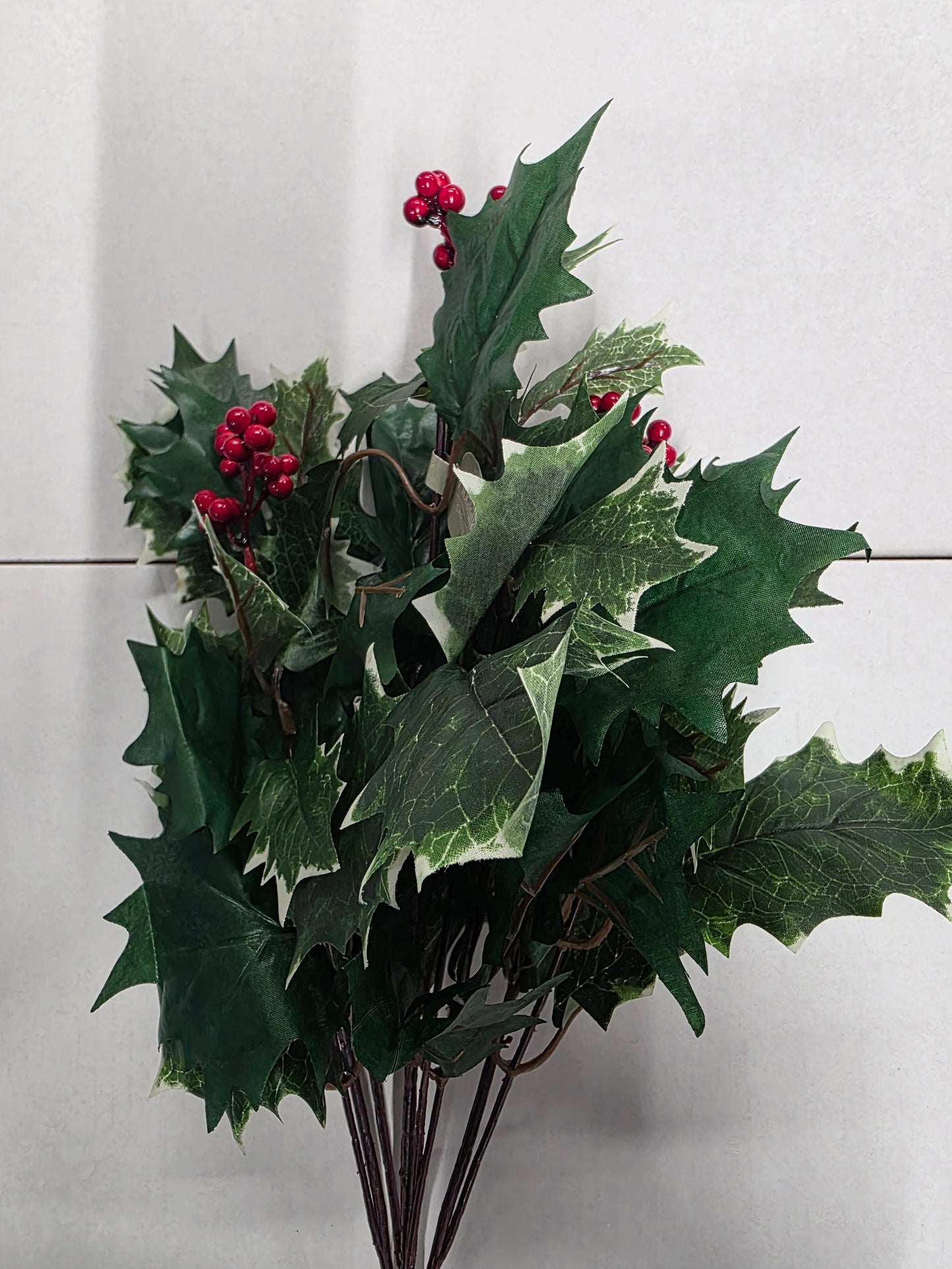 Holly Bush With Berries Variegated 48cm