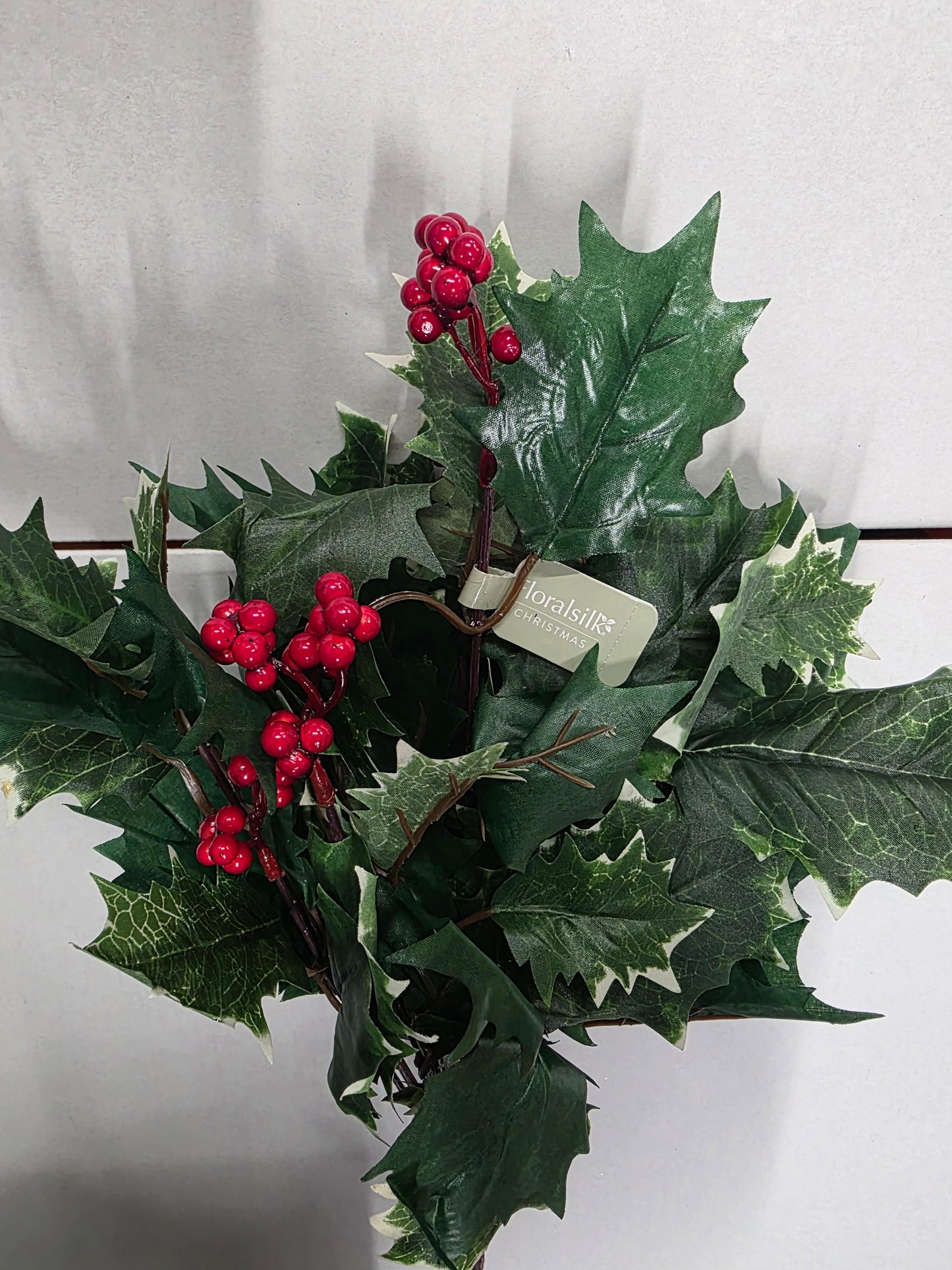 Holly Bush With Berries Variegated 48cm