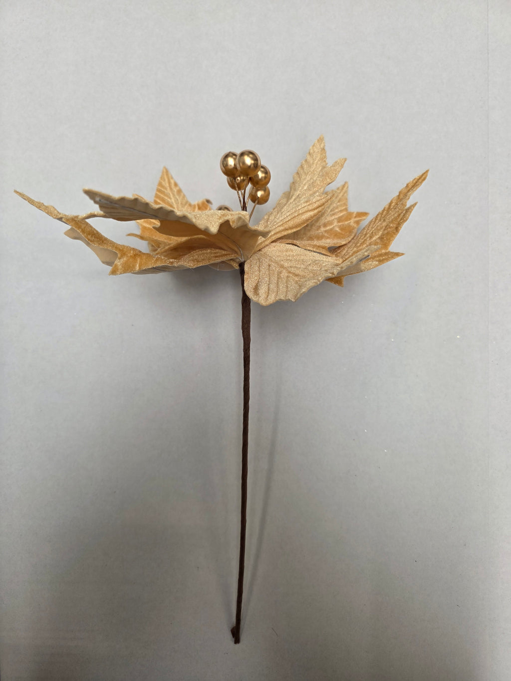 Poinsettia 45cm Gold