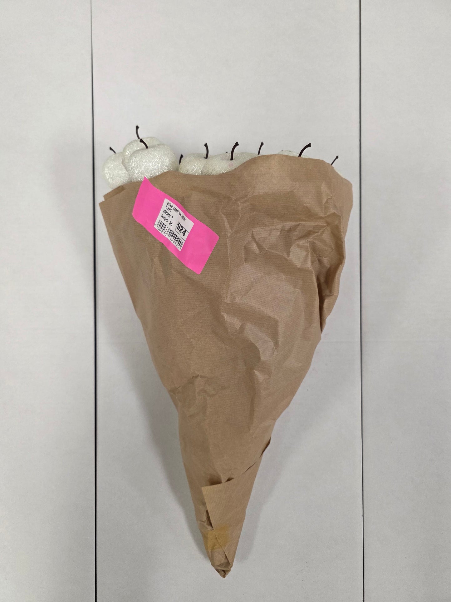 Dried Appel Ice White