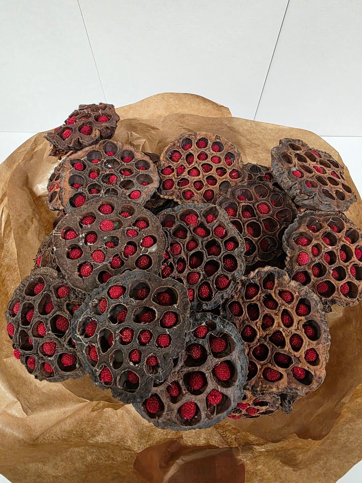 Dried Auricle Nature