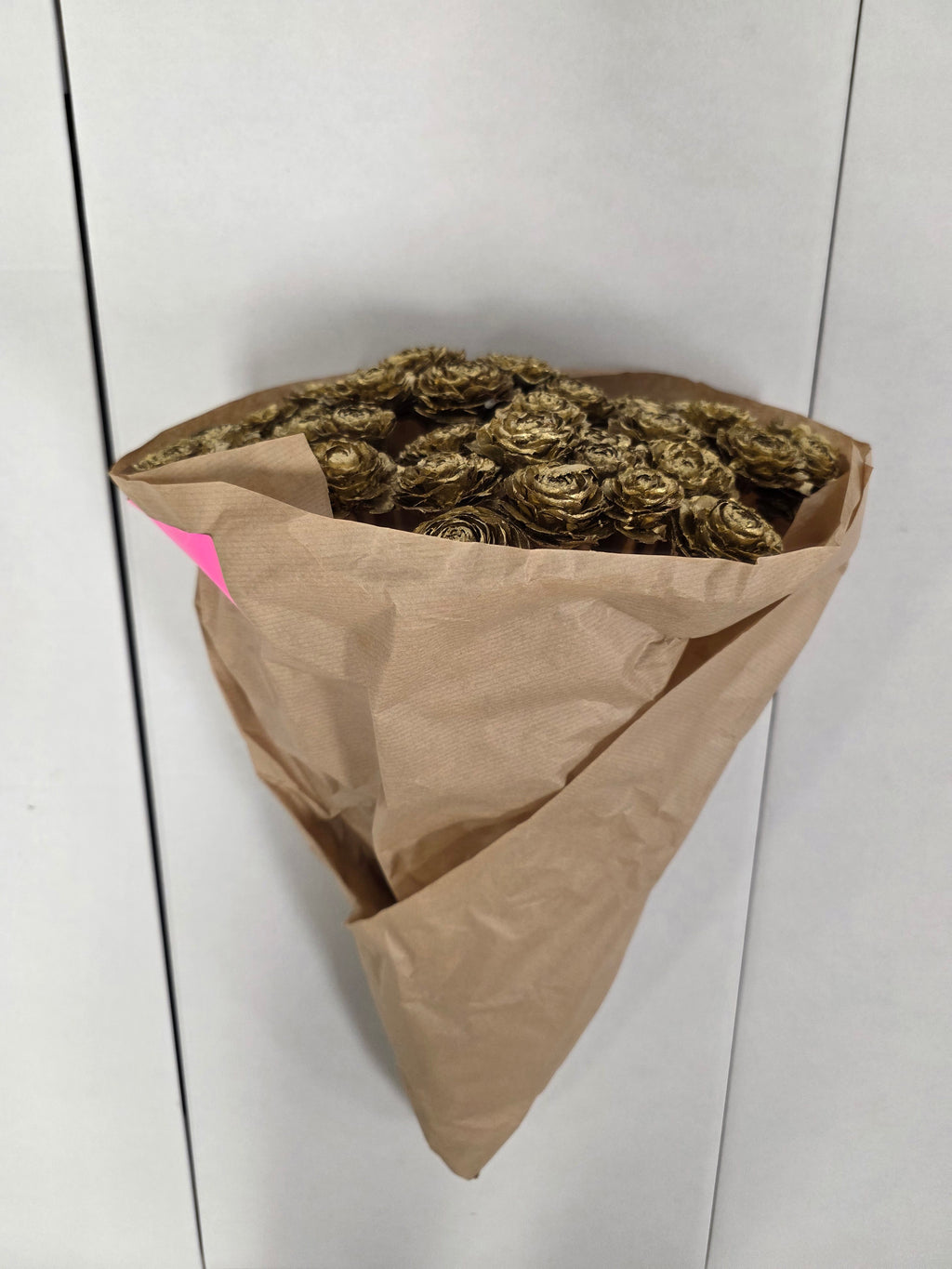Dried Cederroos Gold