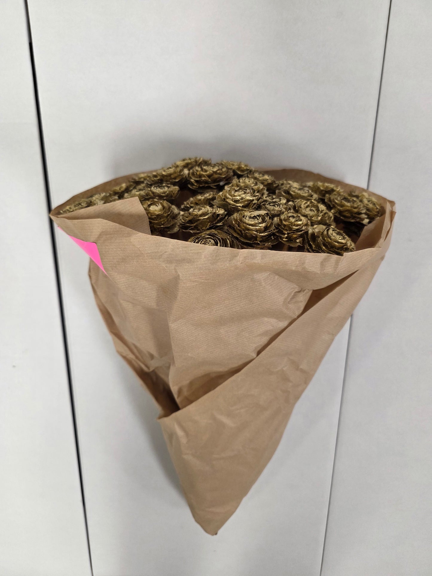 Dried Cederroos Gold