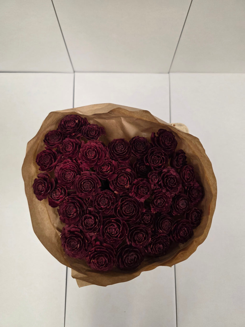Dried Cederroos Red