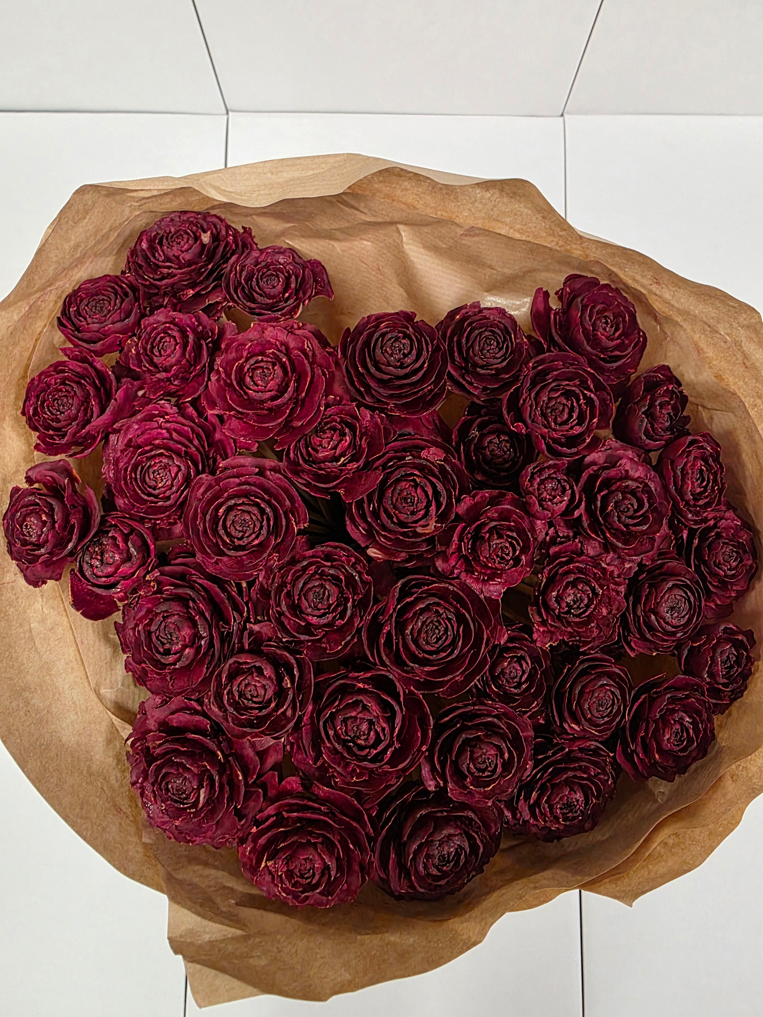 Dried Cederroos Red