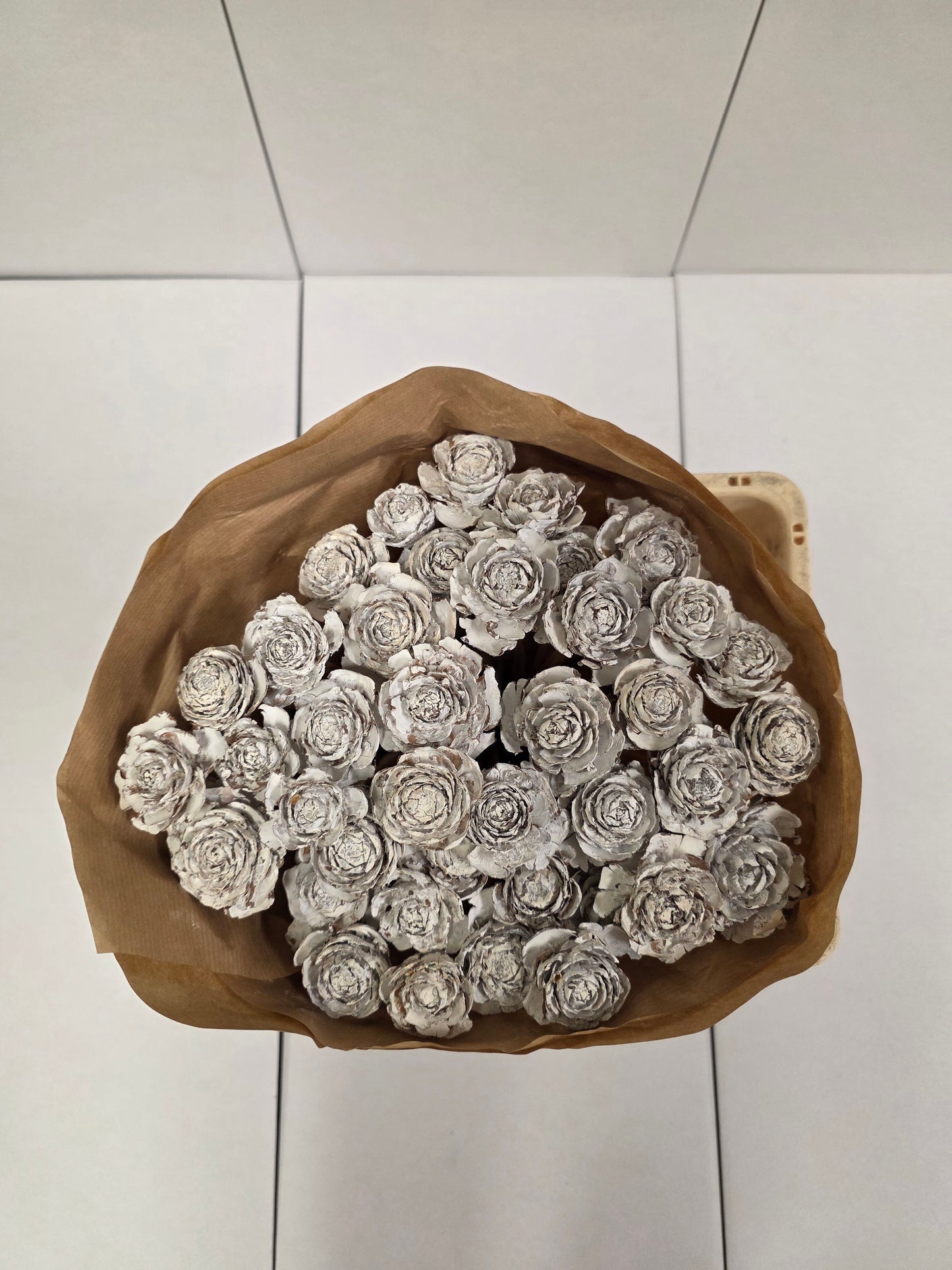 Dried Cederroos White