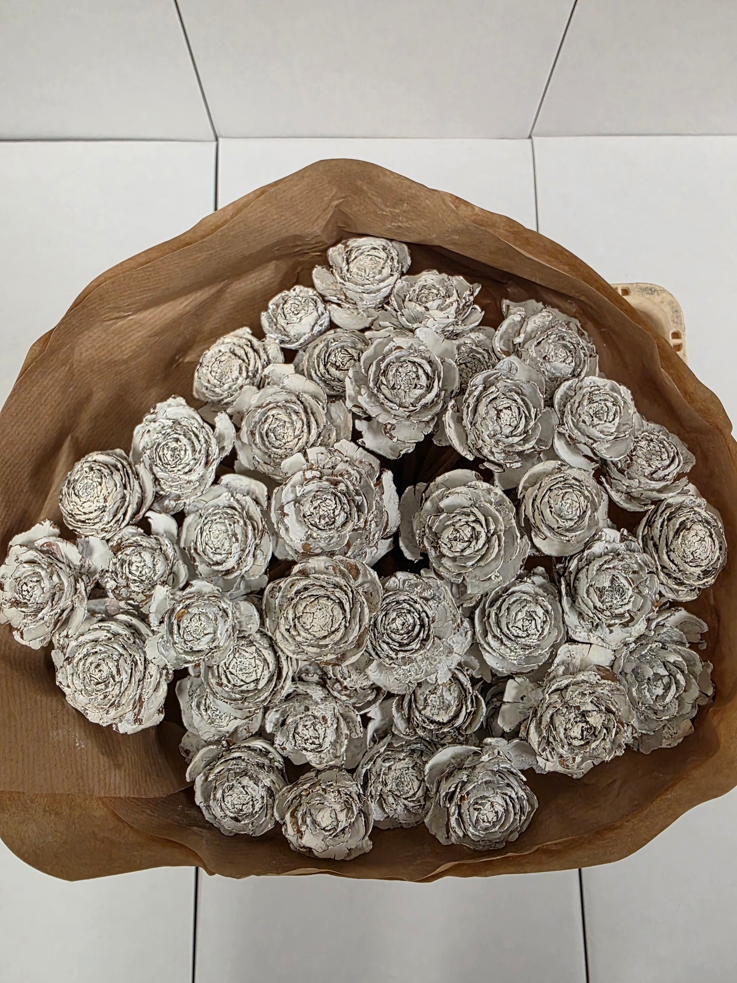 Dried Cederroos White