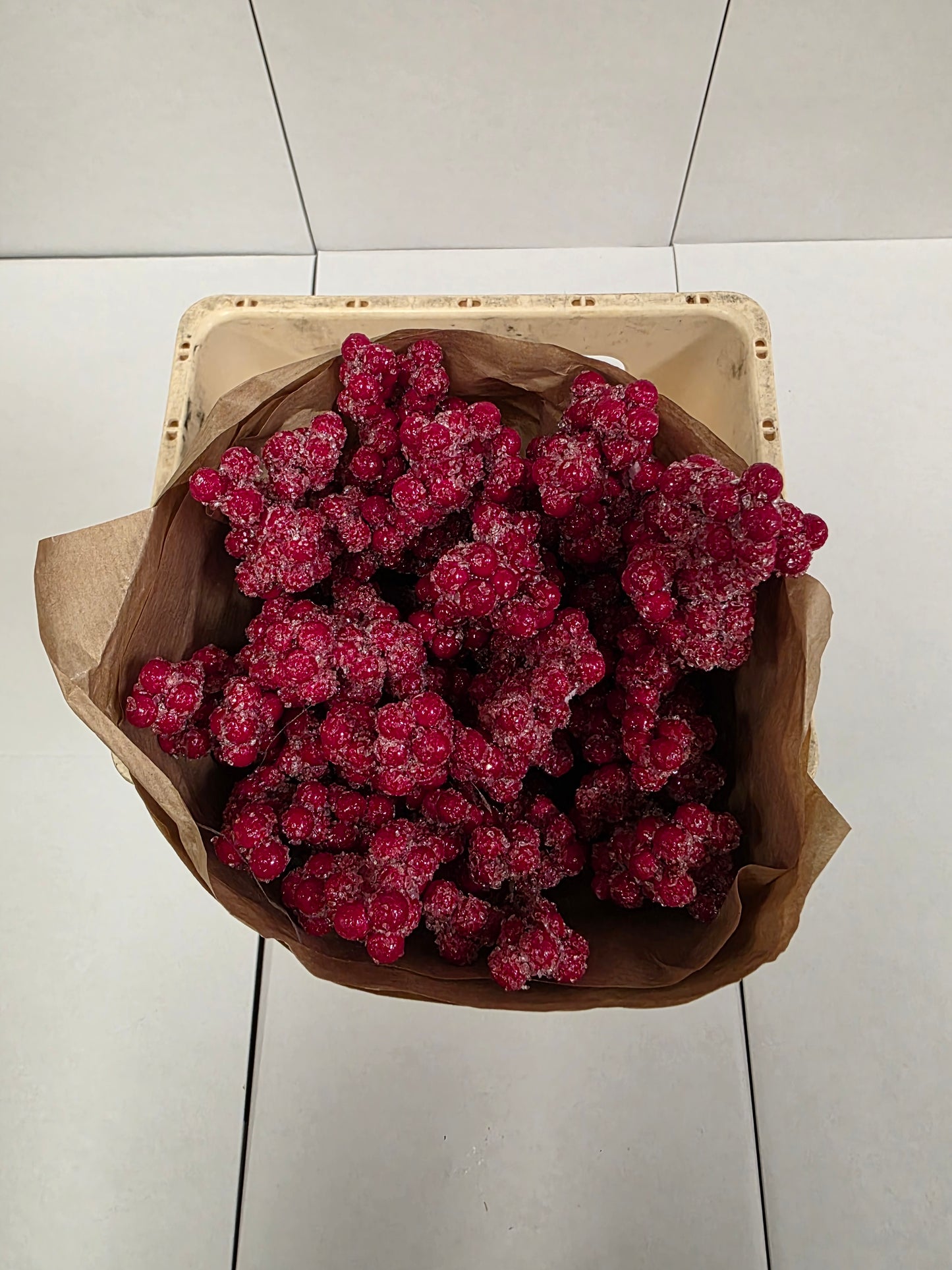 Dried Ilex + Frosted