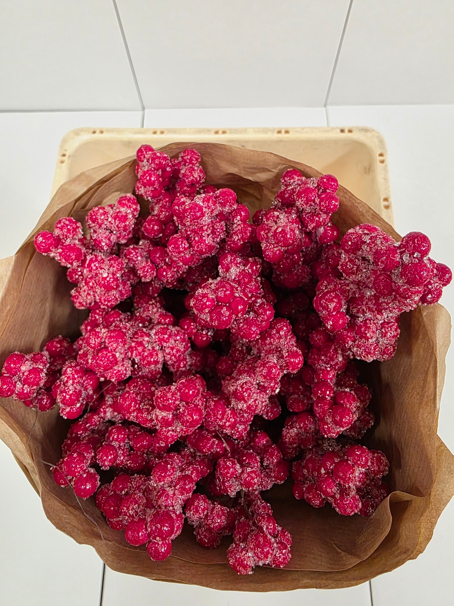 Dried Ilex + Frosted