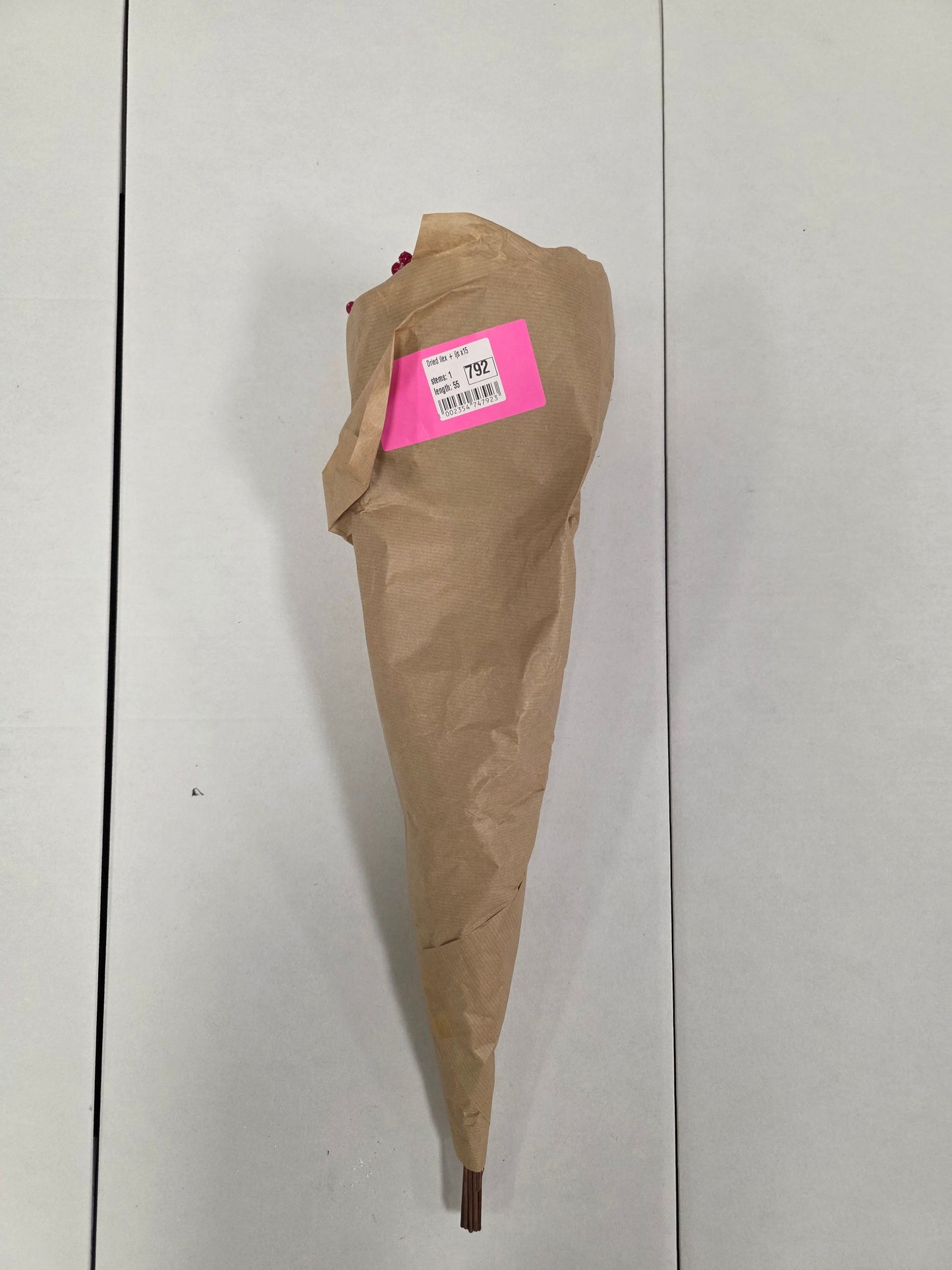 Dried Ilex + Frosted