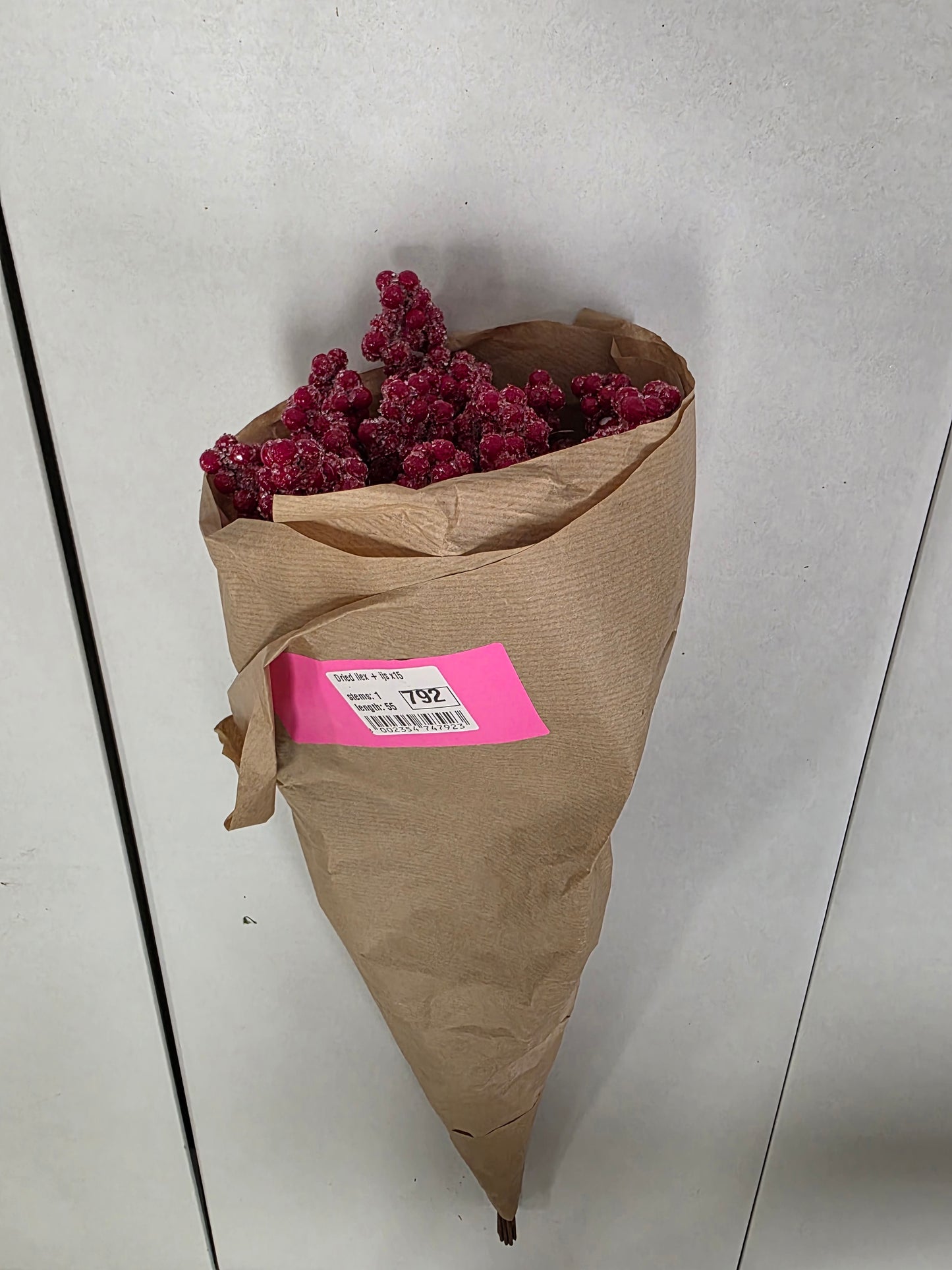 Dried Ilex + Frosted