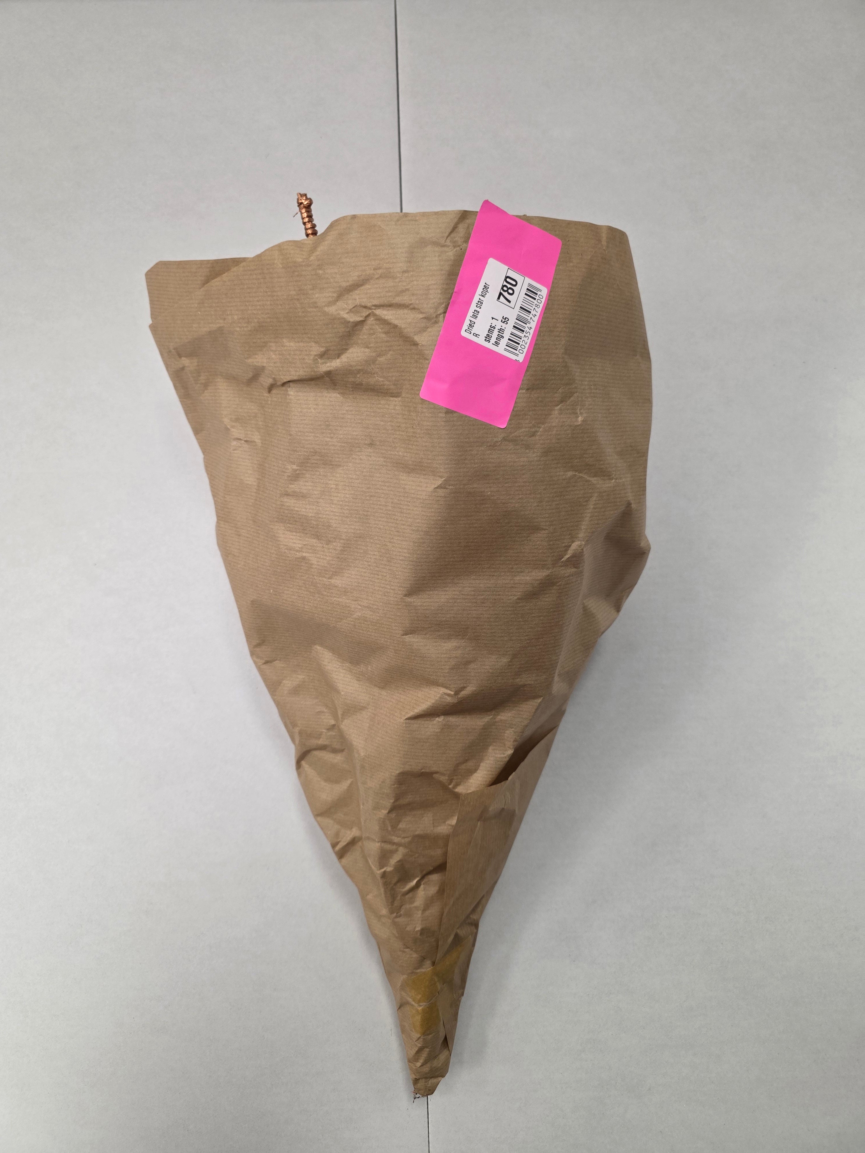Dried Lata Star Goud