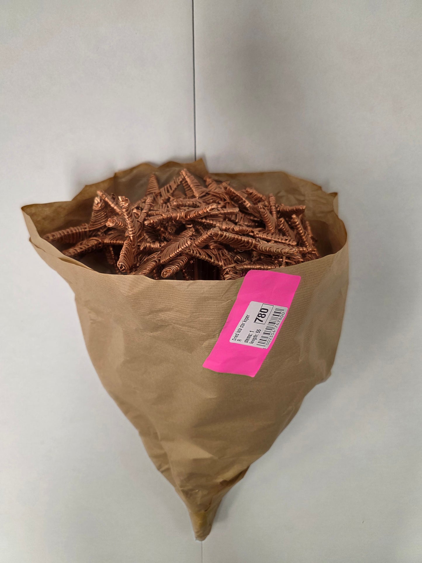 Dried Lata Star Goud